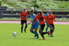 Freundschaftsspiel (F) gg. Hegauer FV (21.07.2019)