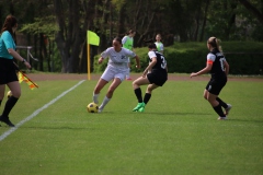 Eintracht Frankfurt - VfL Sindelfingen Ladies (B1) (13.04.2024)