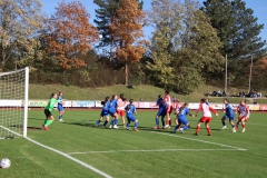 FC Bayern München - VfL Sindelfingen Ladies (B1) (28.10.2023)