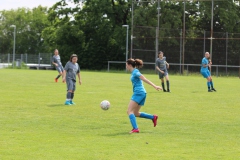 FC Biegelkicker Erdmannhausen - VfL Sindelfingen Ladies (B2) -  (20.05.2023)