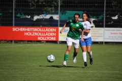 FC Forstern - VFL Sindelfingen (B1) (16.09.2023)