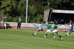 FC Forstern - VFL Sindelfingen (B1) (16.09.2023)