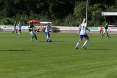 FC Forstern - VFL Sindelfingen (B1) (16.09.2023)