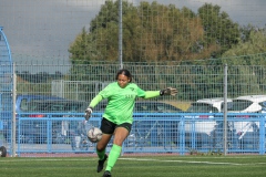 SC Sand - VfL Sindelfingen (B1) (03.10.2024)