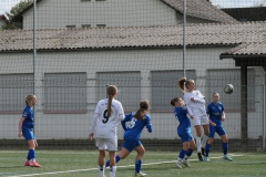 SC Sand - VfL Sindelfingen (B1) (03.10.2024)