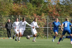 SC Sand - VfL Sindelfingen (B1) (03.10.2024)