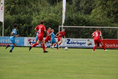 SC Sand - VfL Sindelfingen (B1) (19.08.2023)