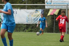 SC Sand - VfL Sindelfingen (B1) (19.08.2023)