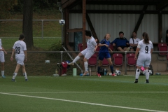 SGM Heumaden-Sillenbuch - VFL Sindelfingen (F1) (18.08.2024)