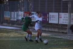 SV Hegnach B1 - VfL Sindelfingen Ladies B1 (20.01.2024)