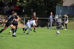 SV Jungingen - VfL Sindelfingen (F) (24.09.2023)