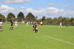 SV Jungingen - VfL Sindelfingen (F) (24.09.2023)