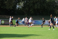 SV Jungingen - VfL Sindelfingen (F) (24.09.2023)