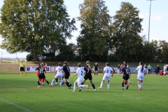 SV Jungingen - VfL Sindelfingen (F) (24.09.2023)