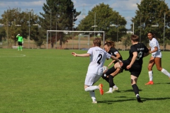 SV Jungingen - VfL Sindelfingen (F) (24.09.2023)