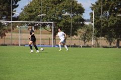 SV Jungingen - VfL Sindelfingen (F) (24.09.2023)