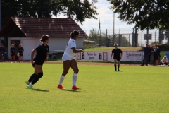 SV Jungingen - VfL Sindelfingen (F) (24.09.2023)