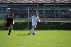 SV Jungingen - VfL Sindelfingen (F) (24.09.2023)