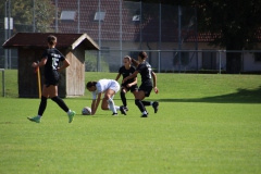 SV Jungingen - VfL Sindelfingen (F) (24.09.2023)