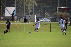 SV Jungingen - VfL Sindelfingen (F) (24.09.2023)