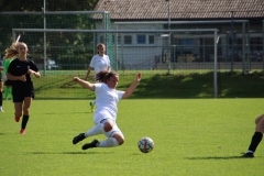 SV Jungingen - VfL Sindelfingen (F) (24.09.2023)