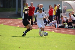 SV Jungingen - VfL Sindelfingen (F) (24.09.2023)