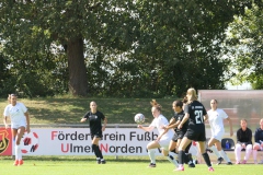 SV Jungingen - VfL Sindelfingen (F) (24.09.2023)