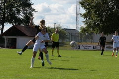 SV Jungingen - VfL Sindelfingen (F) (24.09.2023)