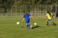 Trainingsauftakt E-Juniorinnen (27.08.2024)