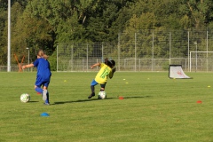 Trainingsauftakt E-Juniorinnen (27.08.2024)