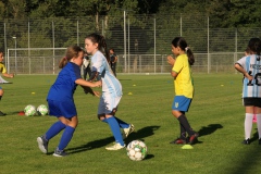 Trainingsauftakt E-Juniorinnen (27.08.2024)