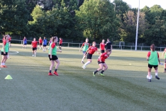 Trainingsauftakt Frauen Saison 2019/2020