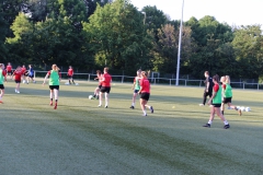 Trainingsauftakt Frauen Saison 2019/2020