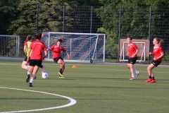 Trainingsauftakt Frauen Saison 2019/2020