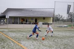 TSG Hoffenheim - VfL Sindelfingen Ladies (B1) (02.12.2023)