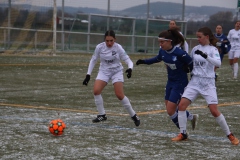 TSG Hoffenheim - VfL Sindelfingen Ladies (B1) (02.12.2023)