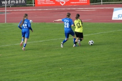 TSV Crailsheim - VfL Sindelfingen (B1) (26.10.2024)