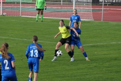 TSV Crailsheim - VfL Sindelfingen (B1) (26.10.2024)