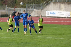 TSV Crailsheim - VfL Sindelfingen (B1) (26.10.2024)