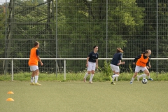 TSV Wendlingen - VfL Sindelfingen Ladies (F1) (25.08.2024)