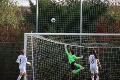 TSV Münchingen - VfL Sindelfingen Ladies (F) (29.10.2023)