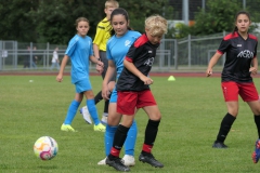 Turnier (D) Renningen (07.07.2024)