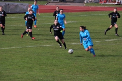 VfL Sindelfingen (B1) - Eintracht Frankfurt U17 (16.03.2019)