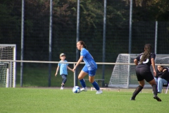 VfL Sindelfingen (B1) - FSV Hessen Wetzlar (30.09.2023)