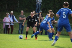 VfL Sindelfingen (B1) - FSV Hessen Wetzlar (30.09.2023)