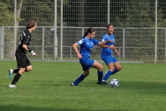 VfL Sindelfingen (B1) - FSV Hessen Wetzlar (30.09.2023)