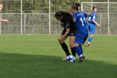 VfL Sindelfingen (B1) - FSV Hessen Wetzlar (30.09.2023)