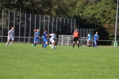 VfL Sindelfingen (B1) - TSG Hoffenheim (09.09.2023)