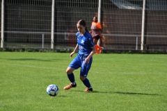 VfL Sindelfingen (B1) - TSG Hoffenheim (09.09.2023)