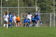 VfL Sindelfingen (B1) - TSG Hoffenheim (09.09.2023)